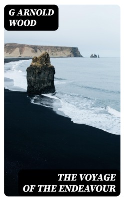 The Voyage of the Endeavour