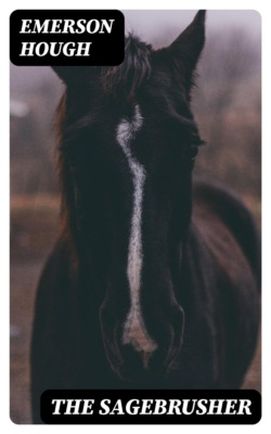 The Sagebrusher
