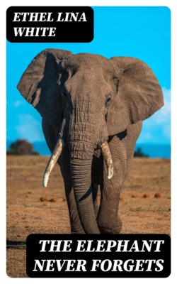 The Elephant Never Forgets