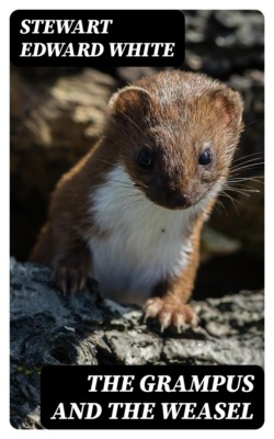 The Grampus and the Weasel
