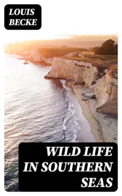 Wild Life in Southern Seas