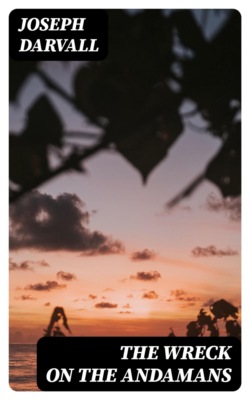 The Wreck on the Andamans
