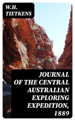Journal of the Central Australian Exploring Expedition, 1889