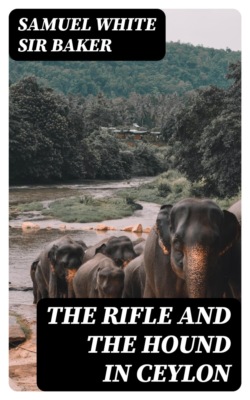 The Rifle and the Hound in Ceylon