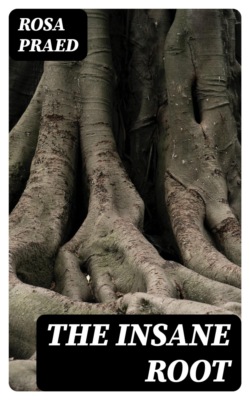 The Insane Root