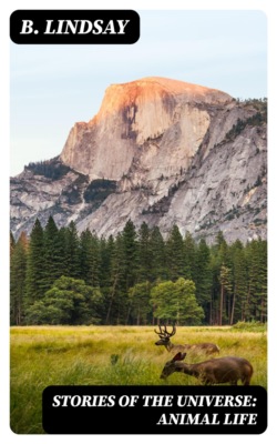 Stories of the Universe: Animal Life