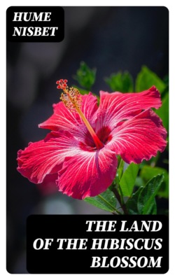 The Land of the Hibiscus Blossom