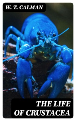 The Life of Crustacea