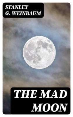 The Mad Moon