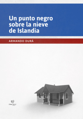 Un punto negro sobre la nieve de Islandia