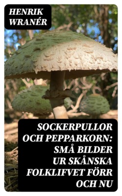 Sockerpullor och Pepparkorn: Små bilder ur skånska folklifvet förr och nu