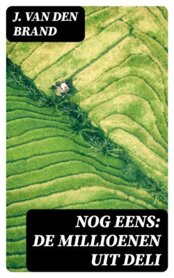 Nog eens: de millioenen uit Deli