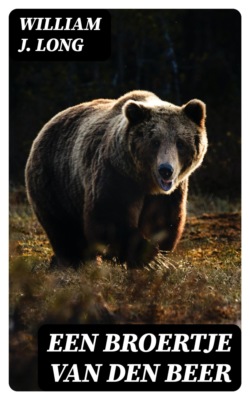 Een Broertje van den Beer