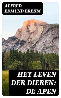 Het Leven der Dieren: De Apen