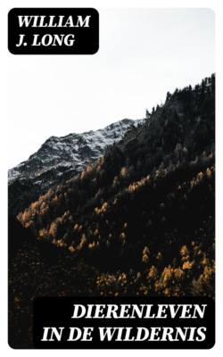 Dierenleven in de wildernis