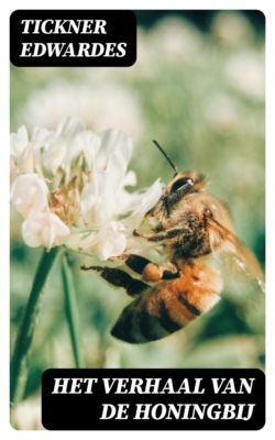 Het verhaal van de honingbij