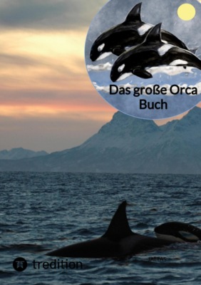 Das große Orca Buch