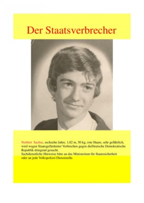 Der Staatsverbrecher