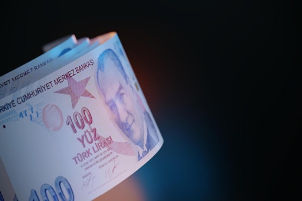Die Türkische Zentralbank (TCMB)