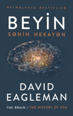 BEYİN: SƏNİN HEKAYƏN