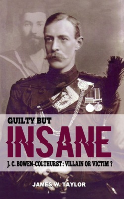 Guilty but Insane: