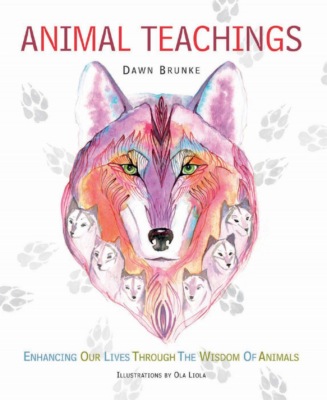 Animal Teachings