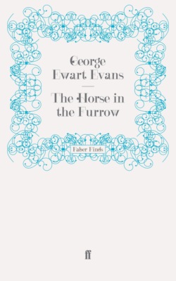 The Horse in the Furrow