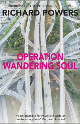Operation Wandering Soul
