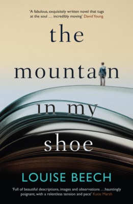The Mountain in my Shoe