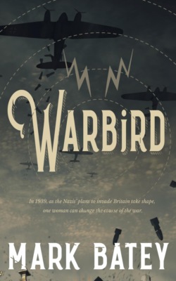 Warbird