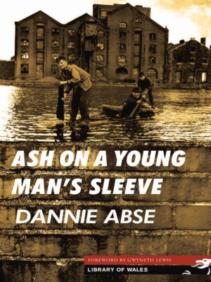 Ash On a Young Man's Sleeve