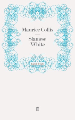 Siamese White
