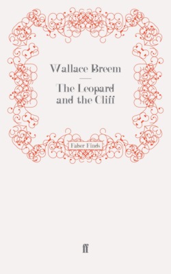 The Leopard and the Cliff