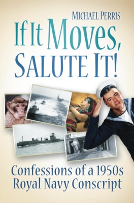 If it Moves, Salute it!