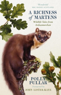 A Richness of Martens