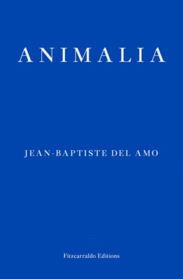 Animalia