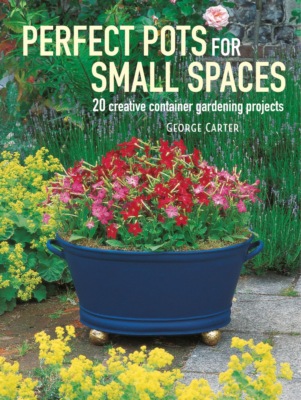 Perfect Pots for Small Spaces