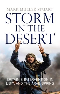 Storm in the Desert