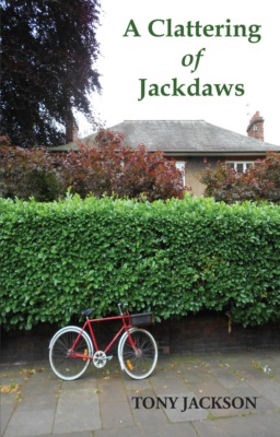 A Clattering of Jackdaws