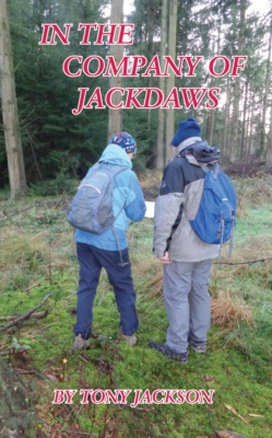 In the Company of Jackdaws