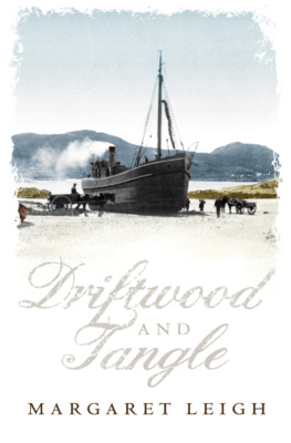 Driftwood and Tangle