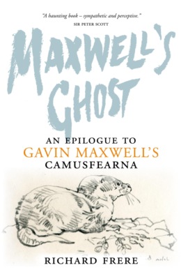 Maxwell's Ghost