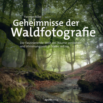 Geheimnisse der Waldfotografie