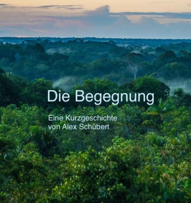Die Begegnung