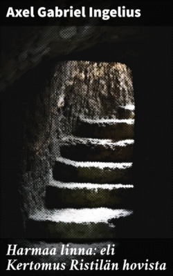 Harmaa linna: eli Kertomus Ristilän hovista