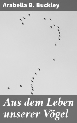 Aus dem Leben unserer Vögel