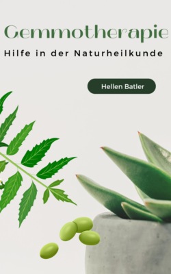 Gemmotherapie:  Hilfe in der Naturheilkunde