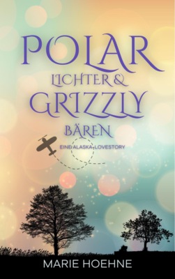 Polarlichter und Grizzybären