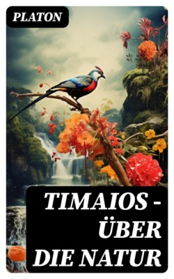 Timaios - Über die Natur