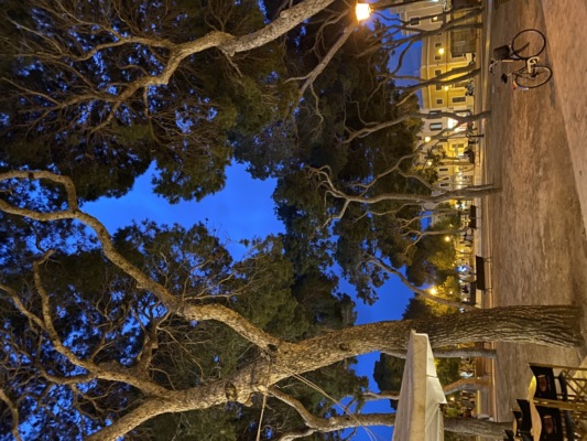 Poesie von Anni Taint